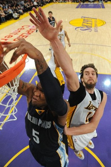 上的某些动 上的某些动